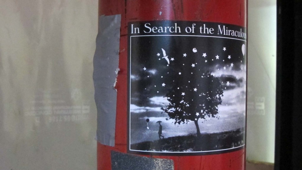 in search of the miraculous